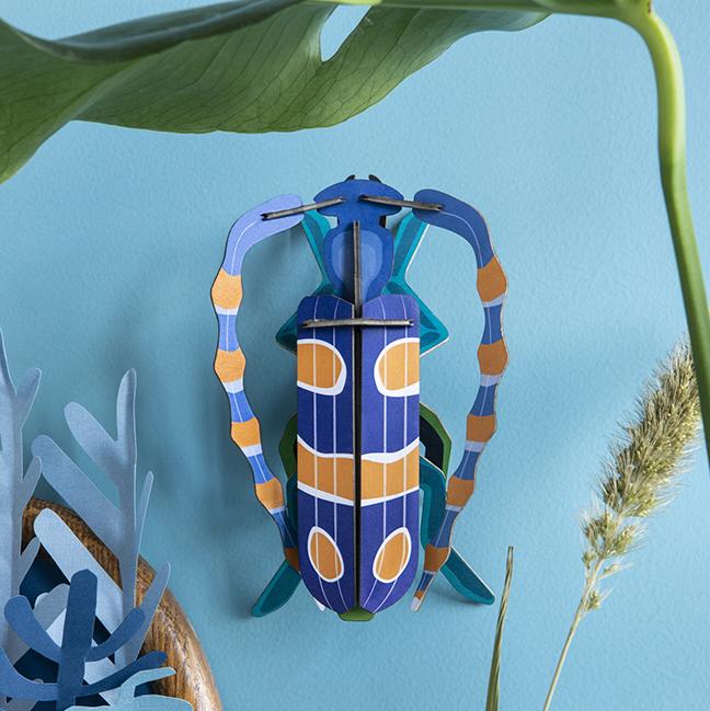 Pequeño Insecto Rosalia Beetle Studio Roof