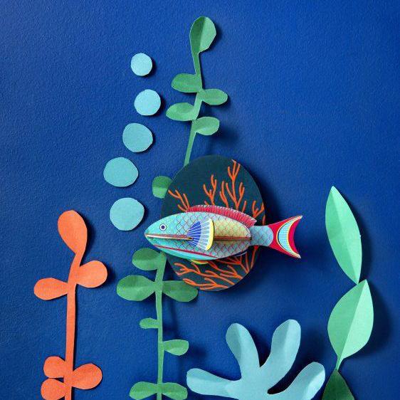 animales-marinos-parrot-fish-studio-roof
