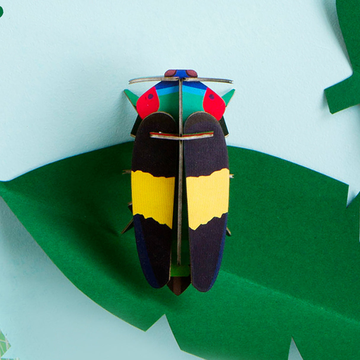 pequeno-insecto-jewel-beetle-studio-roof