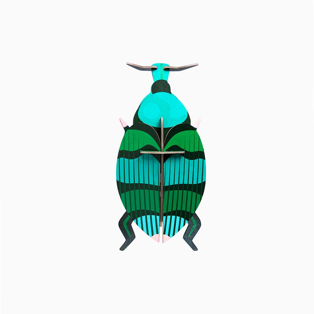 pequeno-insecto-weevil-beetle-studio-roof
