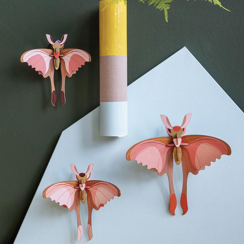 set-de-3-comet-butterflies-studio-roof