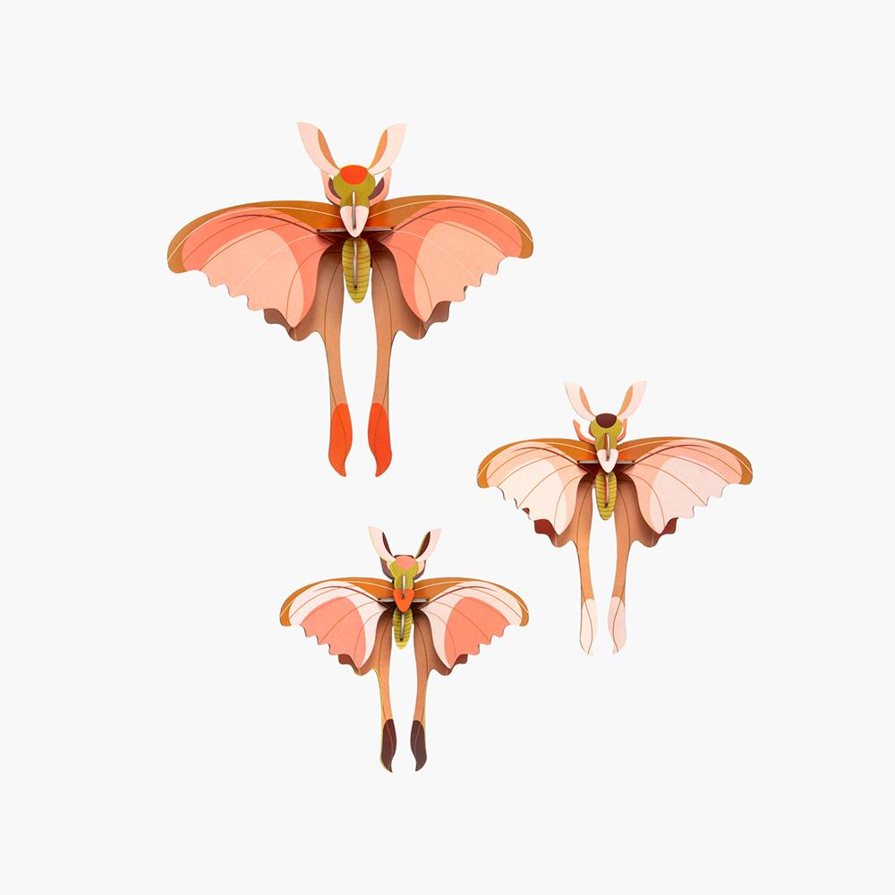 set-de-3-comet-butterflies-studio-roof