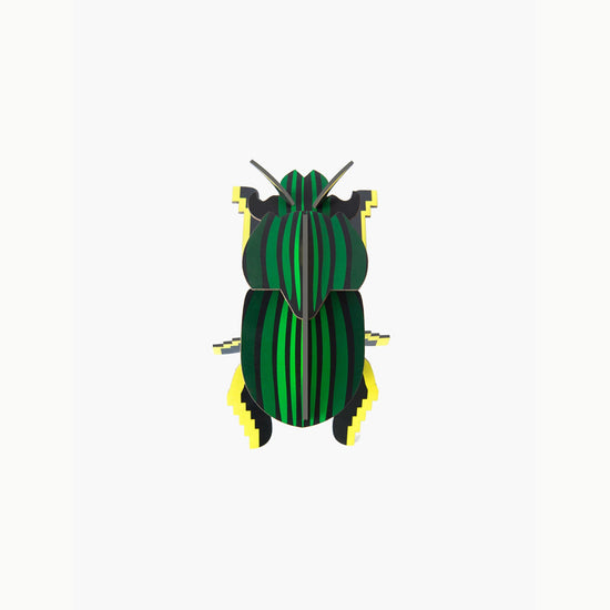 pequeno-insecto-scarab-beetle-studio-roof