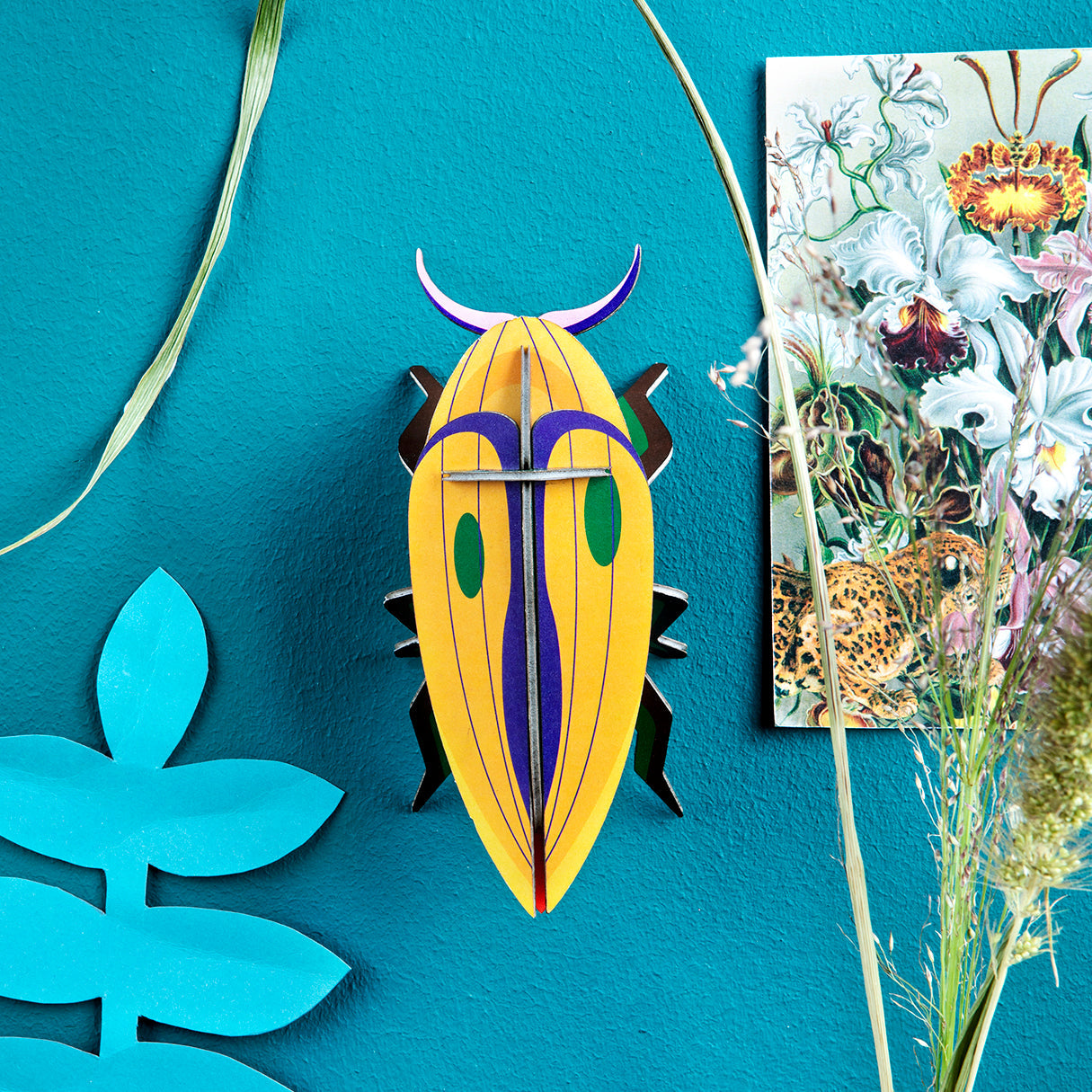 pequeno-insecto-click-beetle-studio-roof