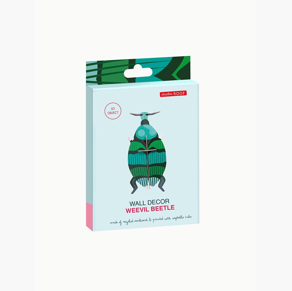 pequeno-insecto-weevil-beetle-studio-roof