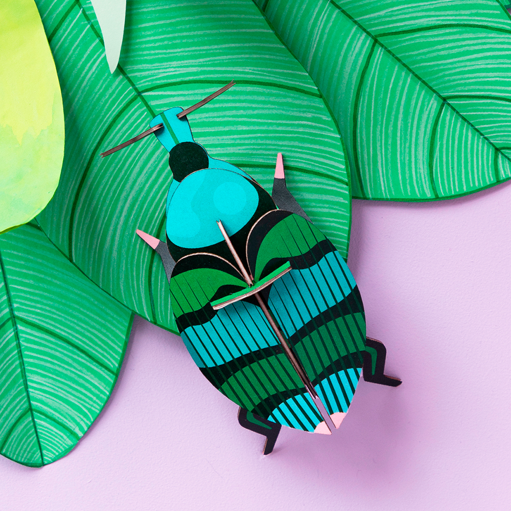 pequeno-insecto-weevil-beetle-studio-roof