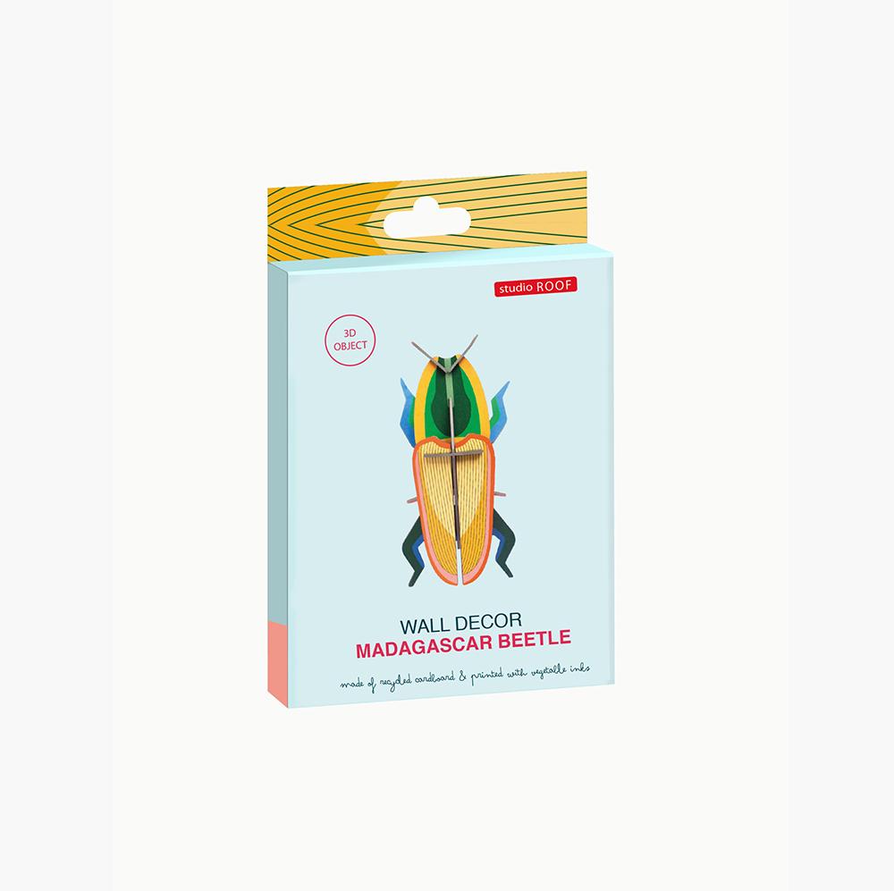 Pequeño Insecto Madagascar Beetle Studio Roof