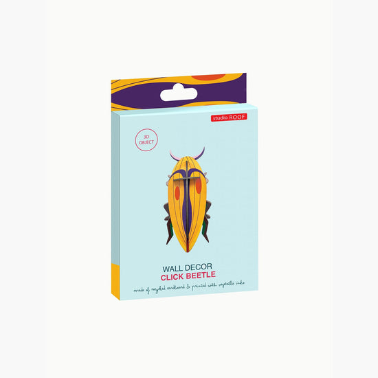 Pequeño Insecto Click Beetle Studio Roof