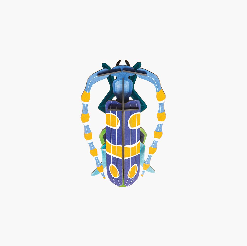 Pequeño Insecto Rosalia Beetle Studio Roof