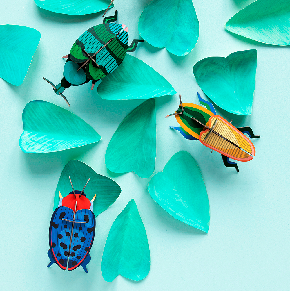 Pequeño Insecto Madagascar Beetle Studio Roof