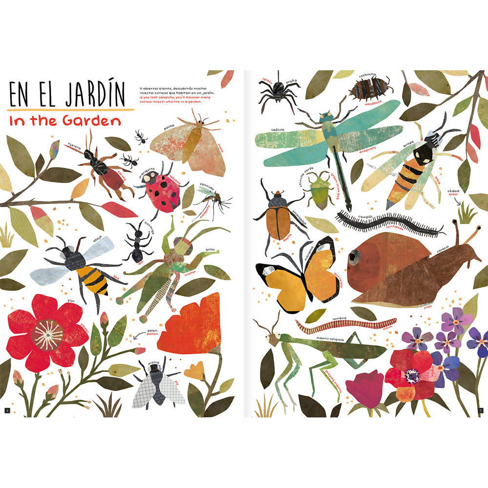 Libro Son tantas cosas Editorial Amanuta