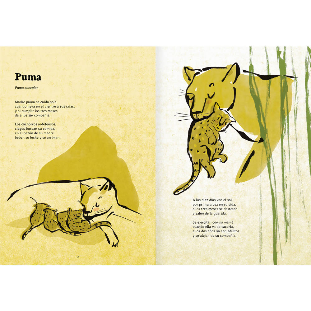 Libro Nacer Editorial Amanuta